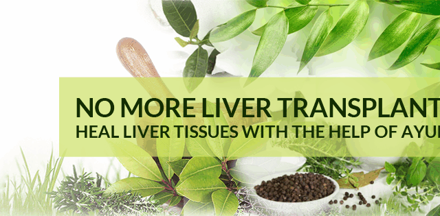 Expert-Ayurveda-cover